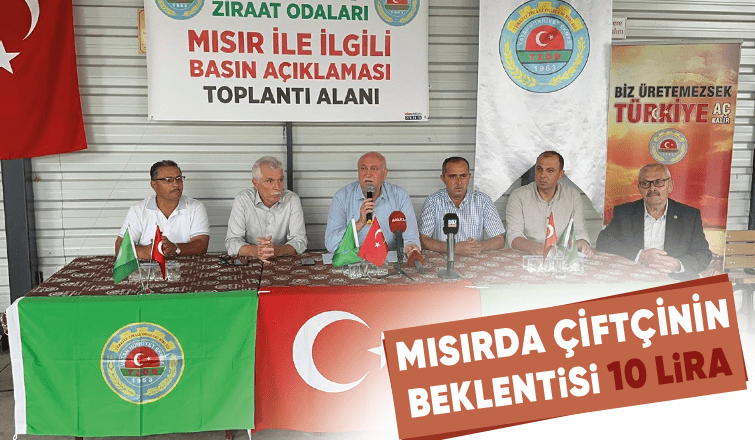 Üretici mısırda taban fiyat olarak 10 lira istiyor