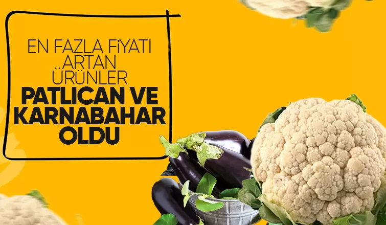 Üretici ve market arasındaki fiyat farkı en çok limonda