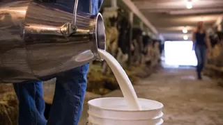 USK, çiğ süt fiyatı için olağanüstü toplanıyor