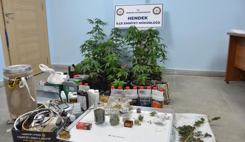 Uyuşturucu serasına operasyon