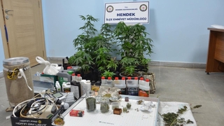 Uyuşturucu serasına operasyon