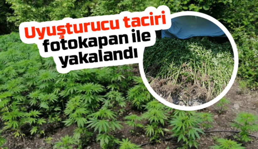Uyuşturucu taciri fotokapan ile yakalandı