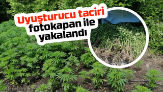 Uyuşturucu taciri fotokapan ile yakalandı