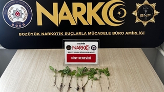 Uyuşturucu tacirini eşi ele verdi