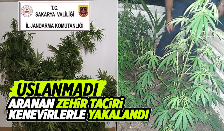 Uyuşturucudan aranıyordu yine uyuşturucuyla yakalandı