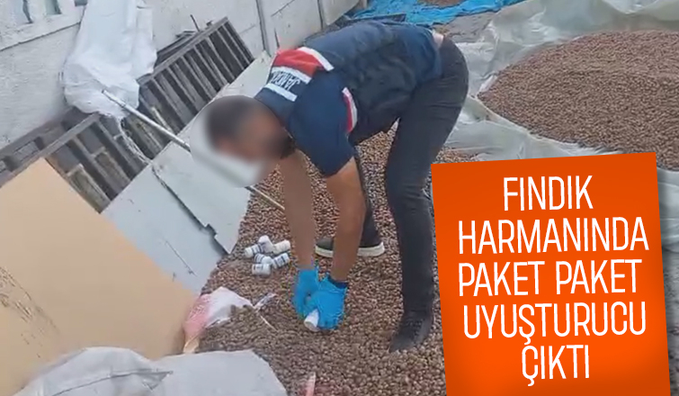 Uyuşturucuyu fındıkların arasına gizlediler