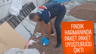 Uyuşturucuyu fındıkların arasına gizlediler