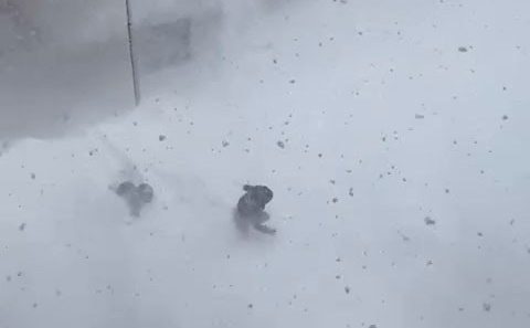 Üzerlerine kar kütlesi düşen 2 öğrenci ölümden döndü