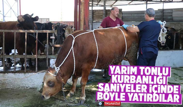 Uzmanında kurban yatırma tekniği