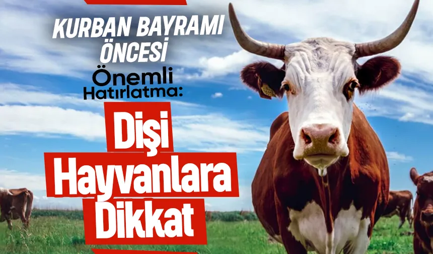 Uzmanlar uyarıyor: Yanlış kurban seçimi geleceği etkiler