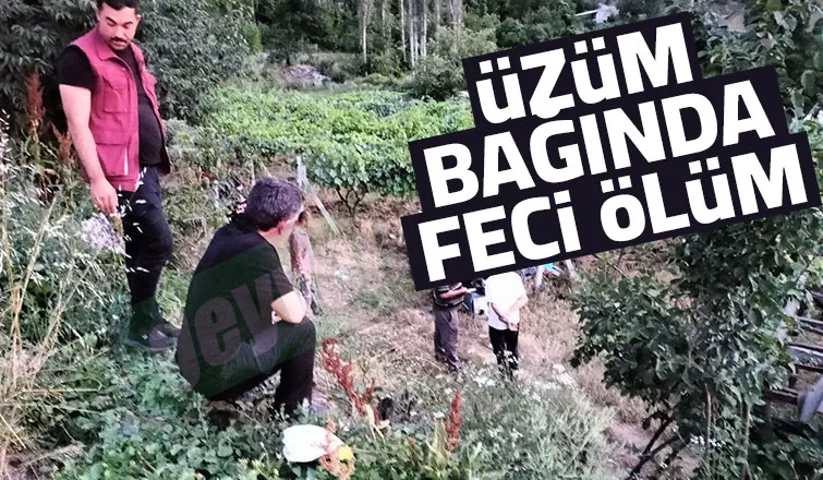 Üzüm bağında feci kaza: 1 ölü