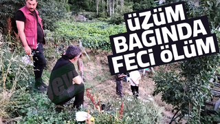 Üzüm bağında feci kaza: 1 ölü