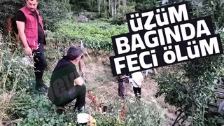 Üzüm bağında feci kaza: 1 ölü