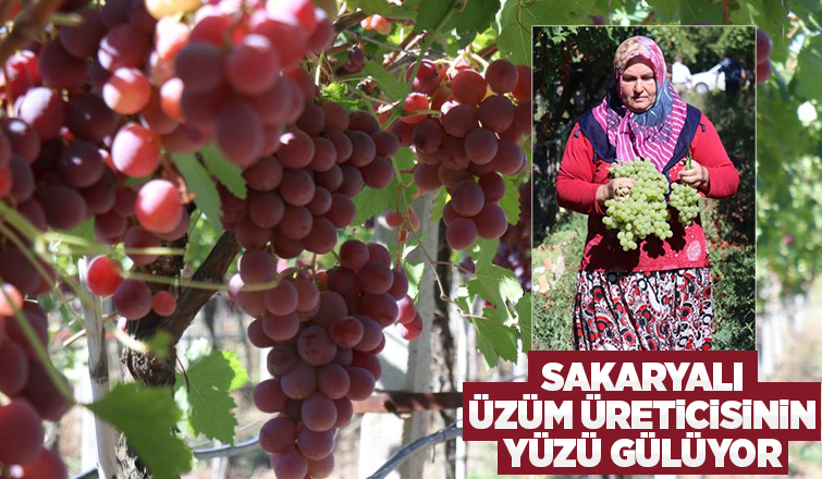 Üzüm üreticinin yüzünü güldürdü