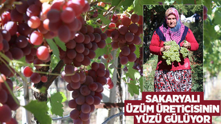 Üzüm üreticinin yüzünü güldürdü
