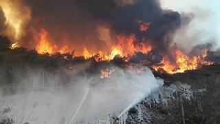 Vali Kaldırım'dan açıklama: Hepimizin ciğerini yaktı