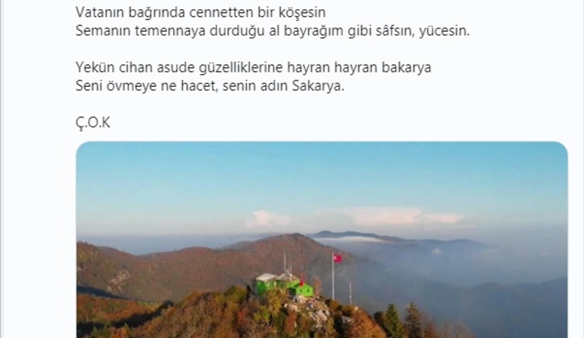 Vali kaldırım'dan Sakarya şiiri