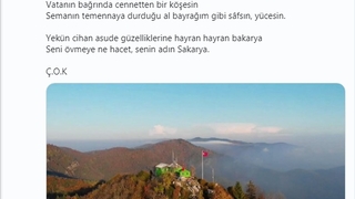 Vali kaldırım'dan Sakarya şiiri