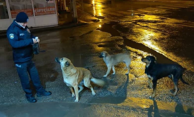 Vali Kaldırım'dan sokaktaki can dostları için çağrı