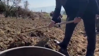 Vali Kaldırım, patates ekti