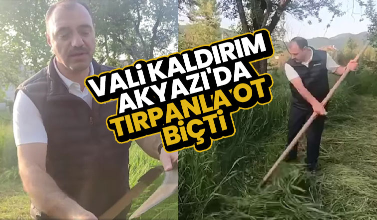 Vali Kaldırım tırpanla ot biçti