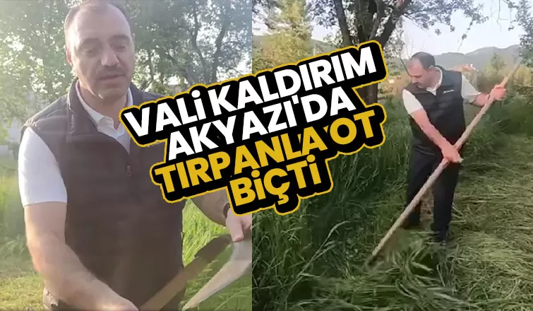Vali Kaldırım tırpanla ot biçti