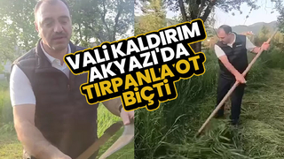 Vali Kaldırım tırpanla ot biçti
