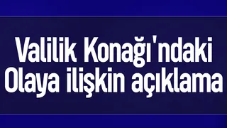 Valilik konutunda bahçıvan araçla köpeklere çarptı; Valilikten açıklama geldi
