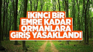 Valilik ormanlarda piknik ve mangalı yasakladı