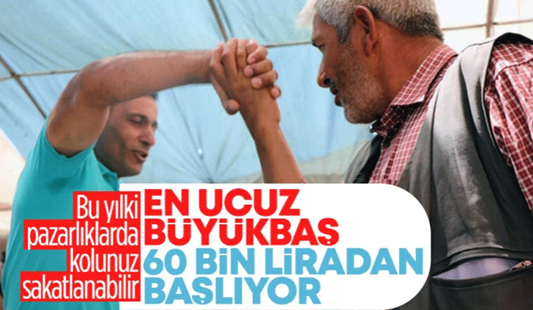 Vatandaşlar merakla bekliyordu! 2023 yılı kurban fiyatları