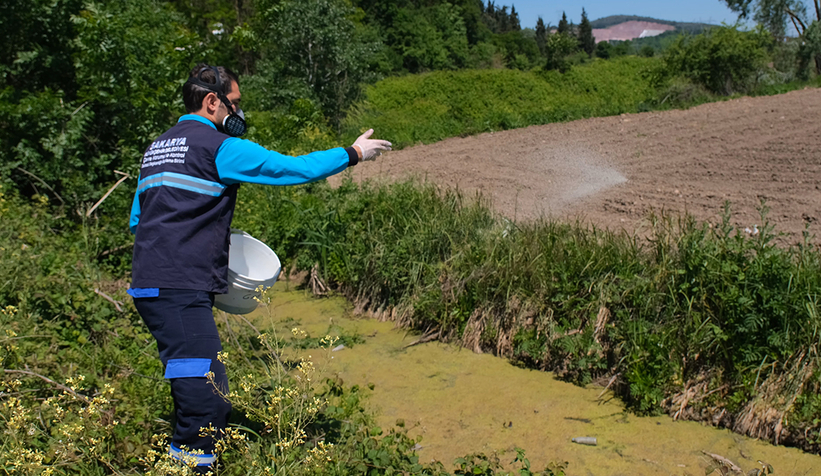 Vektörlerle mücadele ve ilaçlama aralıksız sürüyor