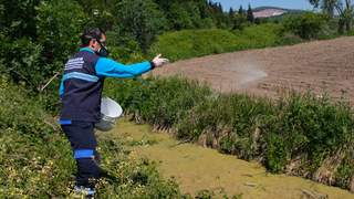 Vektörlerle mücadele ve ilaçlama aralıksız sürüyor