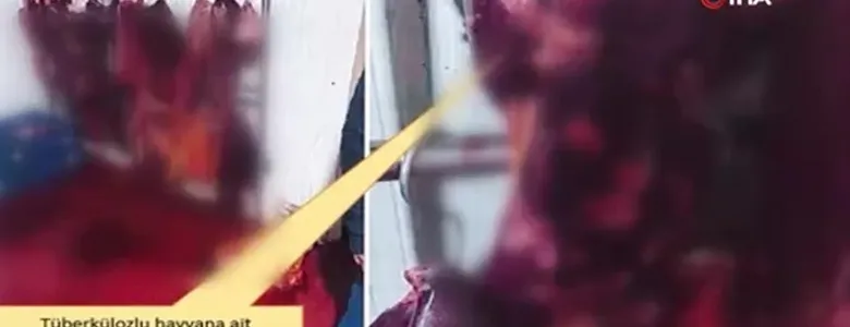 Veremli hayvanın etini yedireceklermiş; Görüntüler şok edici