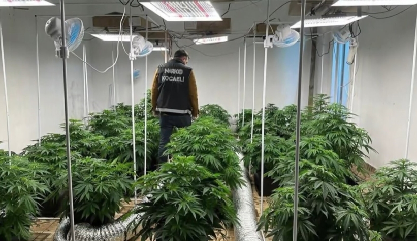 Villayı uyuşturucu serasına çevirdiler