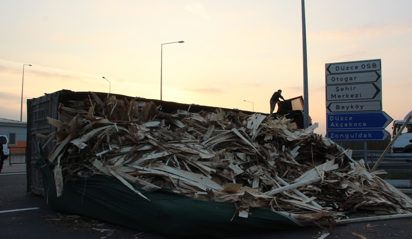 Virajı alamayan tır devrildi