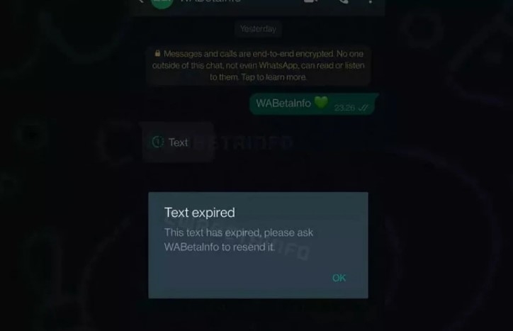 WhatsApp, bir kez görüntülenebilen mesajları test ediyor