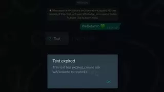 WhatsApp, bir kez görüntülenebilen mesajları test ediyor