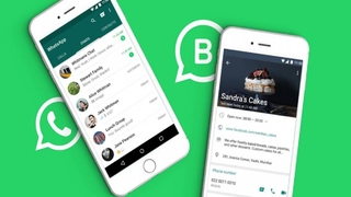 WhatsApp Business ek özellikler için para isteyecek