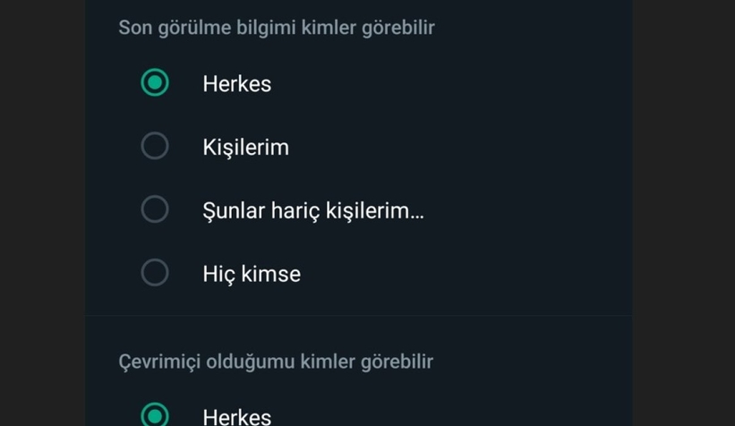 WhatsApp, çevrim dışı ol özelliğini herkesin kullanımına açtı