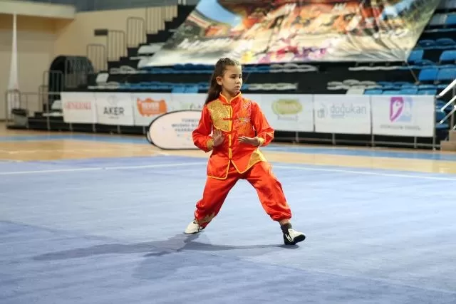 Wushu Tai Chi Türkiye Şampiyonası Sakarya'da başladı