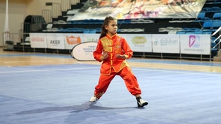 Wushu Tai Chi Türkiye Şampiyonası Sakarya'da başladı