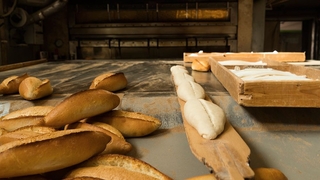 Ya o, ya ben resti çekti tazminatsız kovuldu