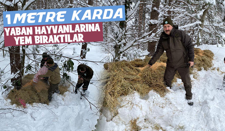 Yaban hayvanları için doğaya yiyecek bırakıldı