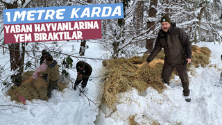 Yaban hayvanları için doğaya yiyecek bırakıldı