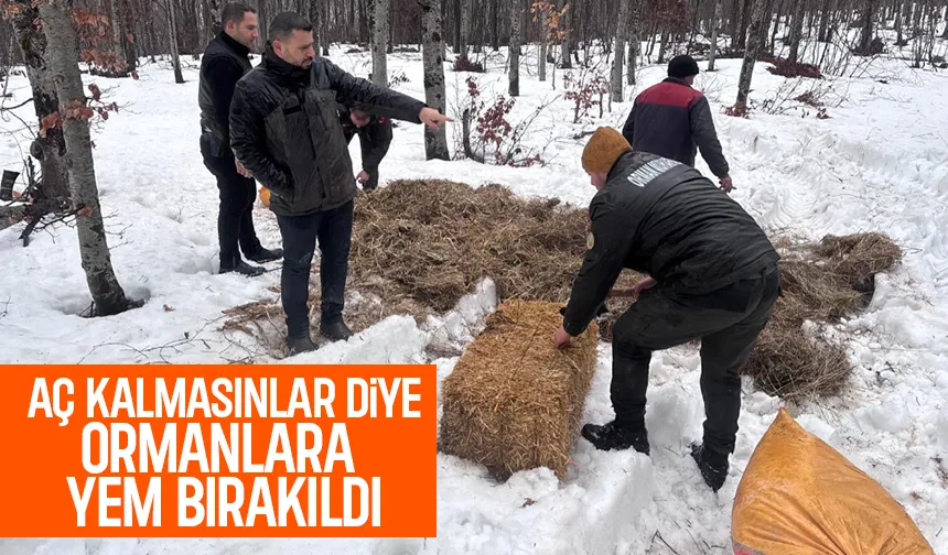 Yaban hayvanları için saman ve yem bıraktılar