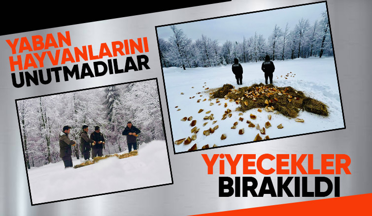 Yaban hayvanları için yiyecek bıraktılar