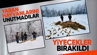 Yaban hayvanları için yiyecek bıraktılar
