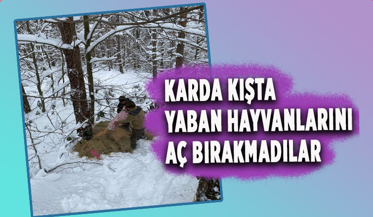 Yaban hayvanlarına 12 bin 900 kilo yiyecek bırakıldı