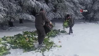 Yaban hayvanlarına 15 yon yem bırakıldı