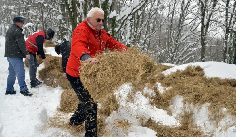 Yaban ve sokak hayvanları için yiyecek bıraktılar